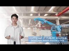 দক্ষ পণ্যসম্ভার পরিচালনার জন্য 9T16.3M শিপ বোর্ড ক্রেন